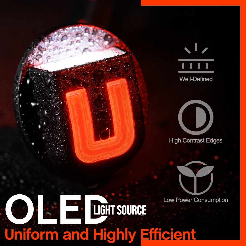 2 шт. OLED лампа освещения номерного знака для Ford F-100 F-150 F-250 F-250HD F-350 Explorer Ranger Lincoln Mark LT