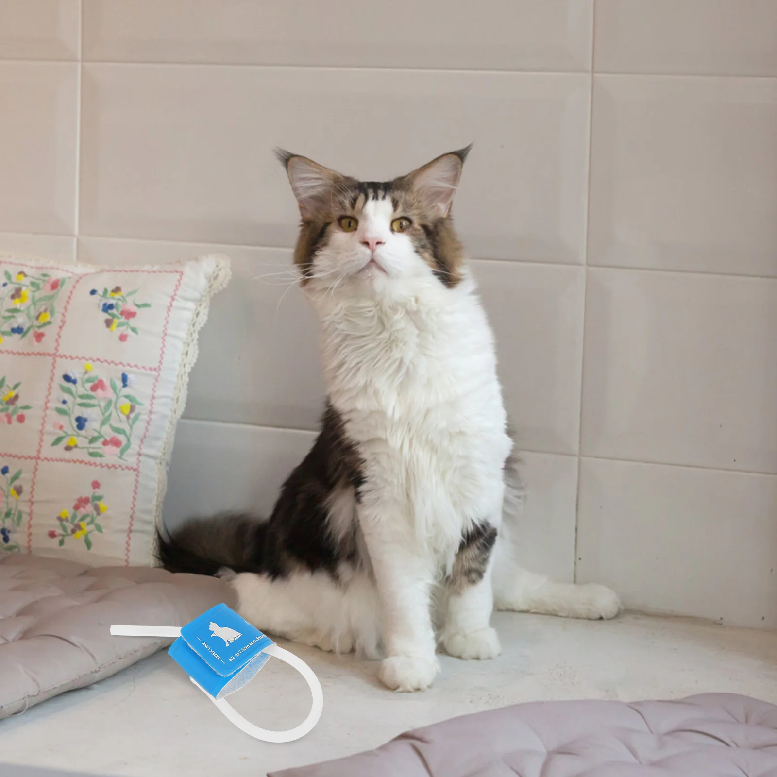 Манжеты для домашних животных принадлежности монитора Bp универсальные