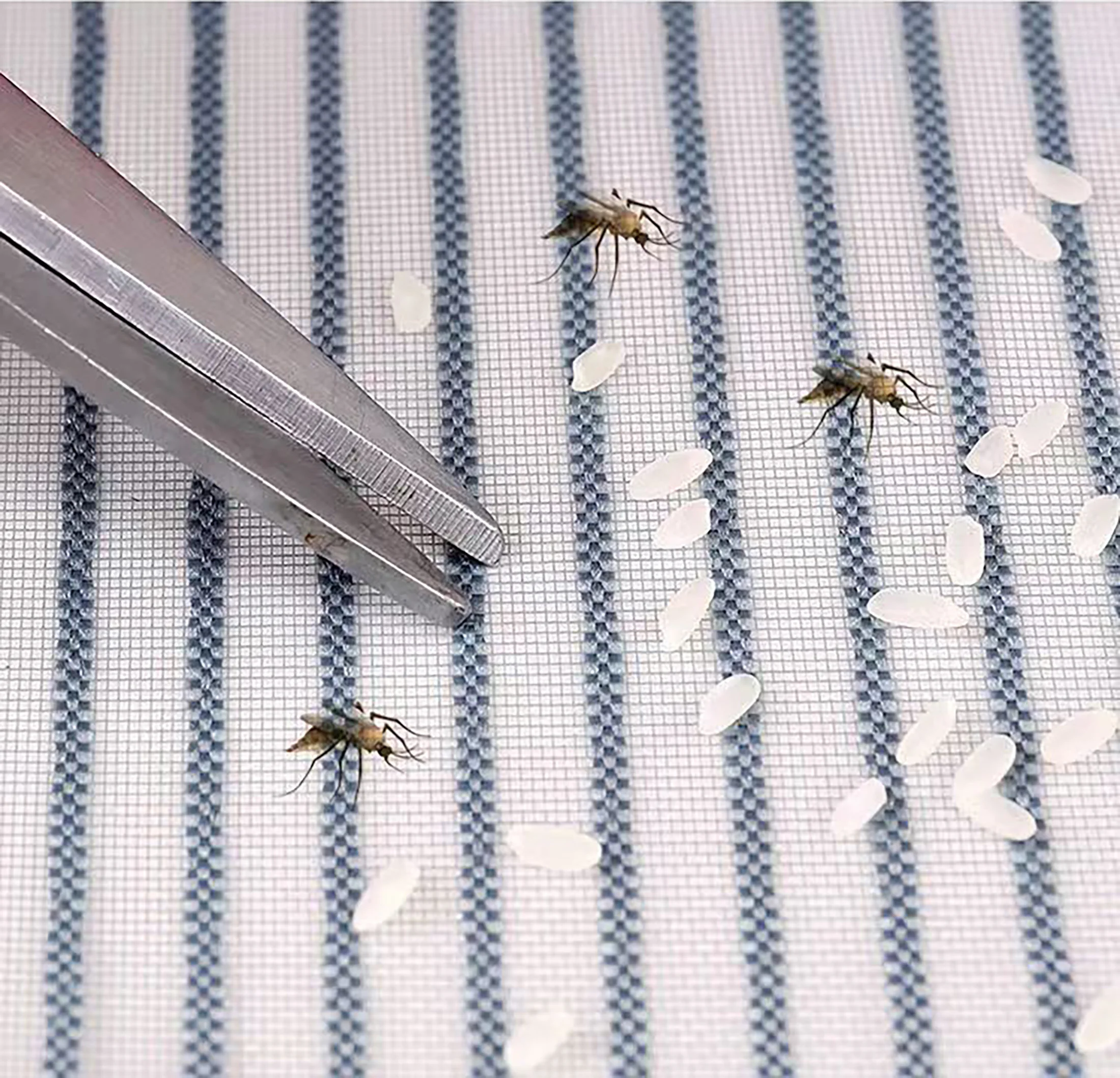 Москитная сетка на молнии с ромбовидной сеткой дверная занавеска экранное окно