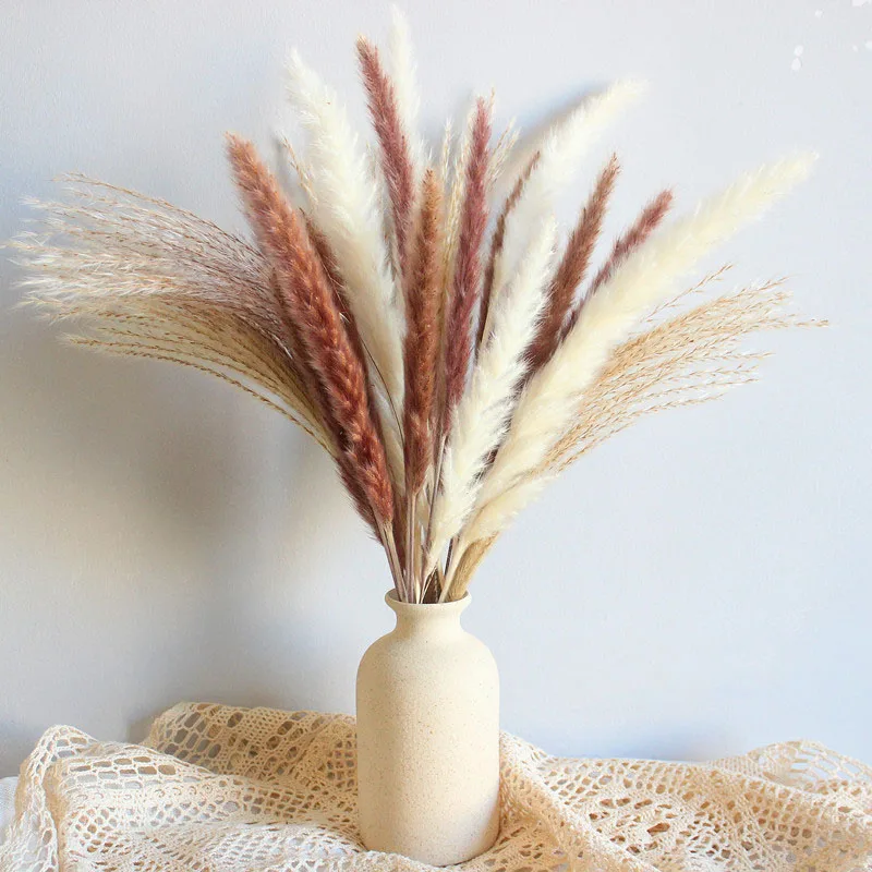 

Reed Pampas Grass Decor Wheat Ears Rabbit Tail Grass Natural Dried Flowers Bouquet Wedding Party Bohemian Room Home Decoration