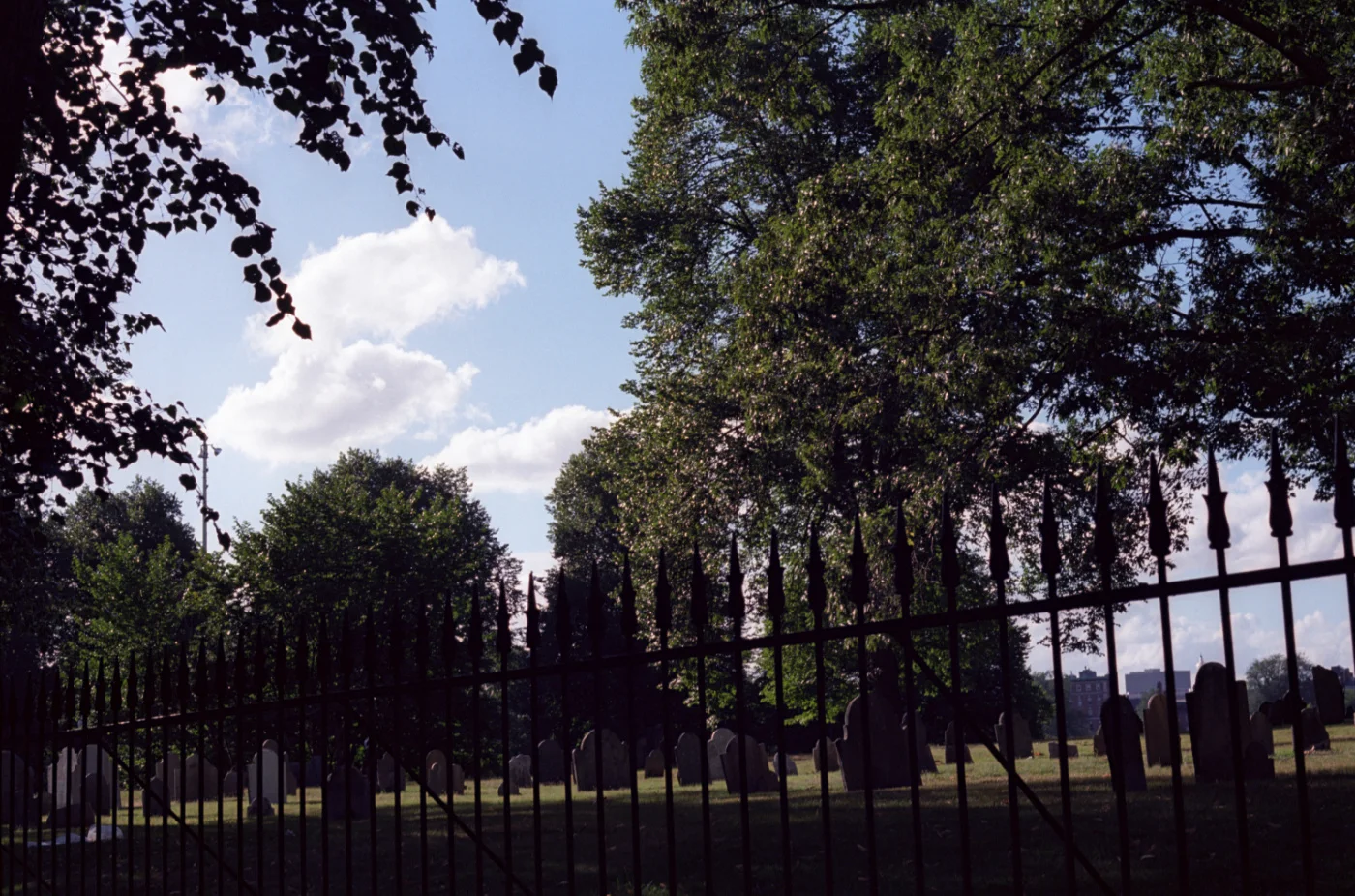Защитная пленка Kodak Professional Ektar 120