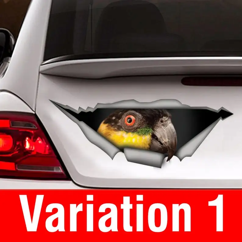 

Sticker , Black headed caique parrot, car sticker, vinyl decal, parrot decal, bird decal, parrot sticker