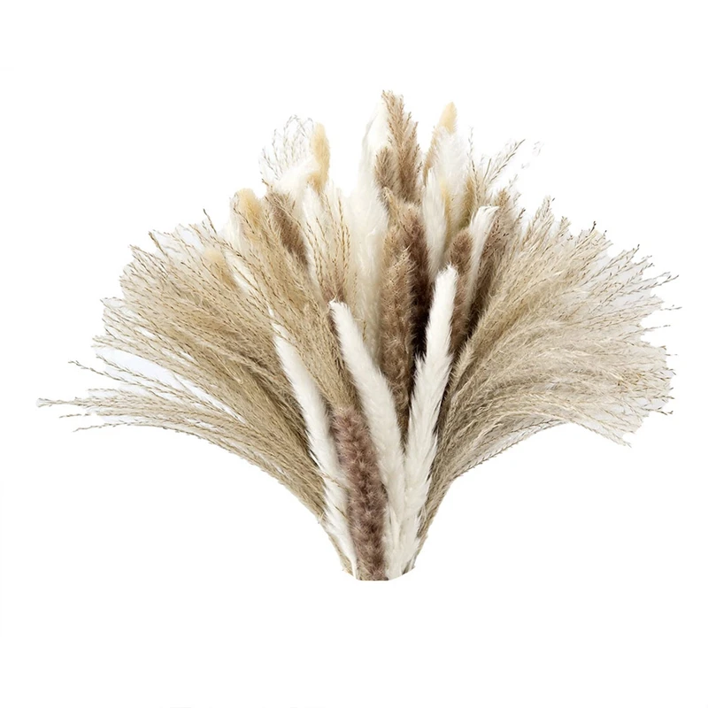 

75Pcs Natural Dried Pampas Grass Fluffy Stems Dry Pompous Bouquets For Flower Arrangements Boho Wedding Decor