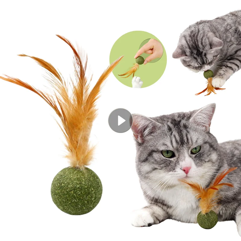 

Feather Toy Catnip Ball Teeth Cleaning Hair Removal Ball Cat Snack Funny Interactive Cat Grass Health Stomach Pet Cat Supplies