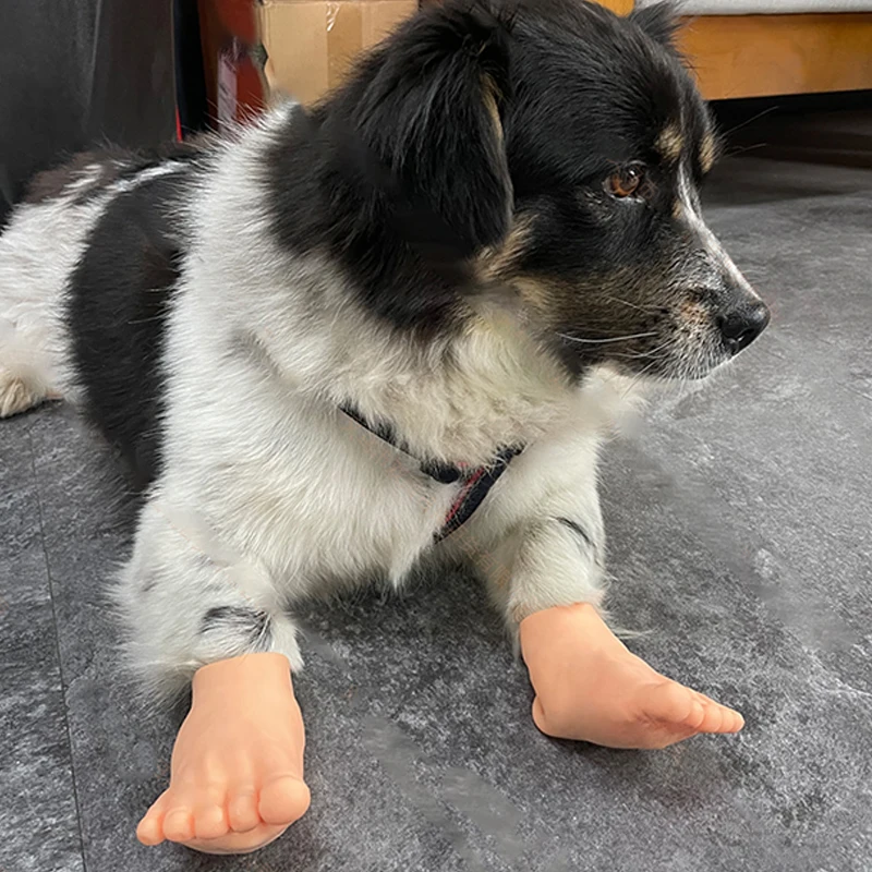 1 пара креативных милых крошечных кукол на ногах забавные маленькие пальцы ног