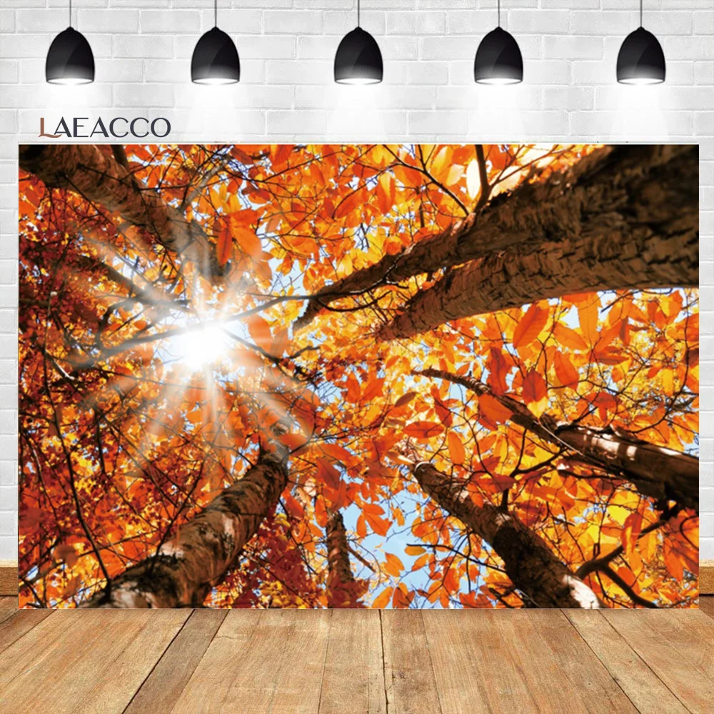 

Laeacco Autumn Scenery Photography Backdrop Yellow Trees Fallen Maple Leaves Forest Kids Adults Portrait Photocall Background