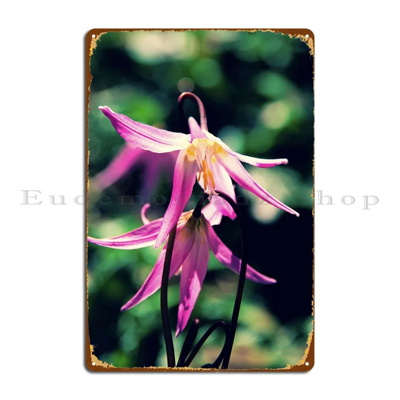 

Tiny Purple Lilies Metal Sign Plaques Decoration Printing Custom Character Wall Cave Tin Sign Poster