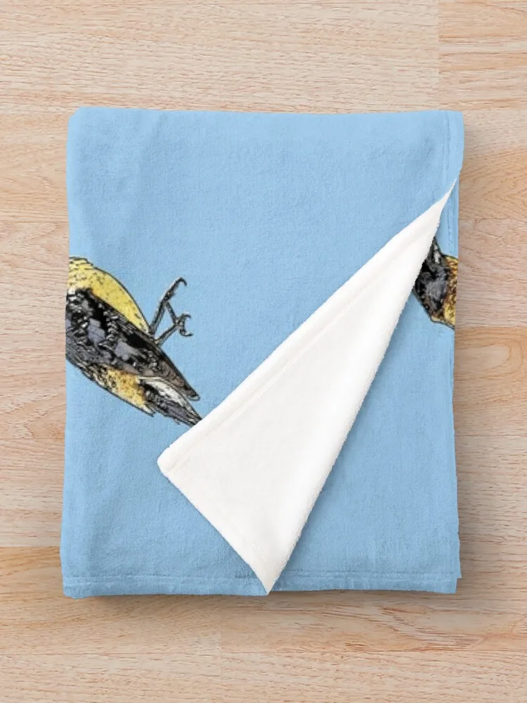 Черное одеяло Grosbeak черное альтернативное дизайнерское многофункциональные