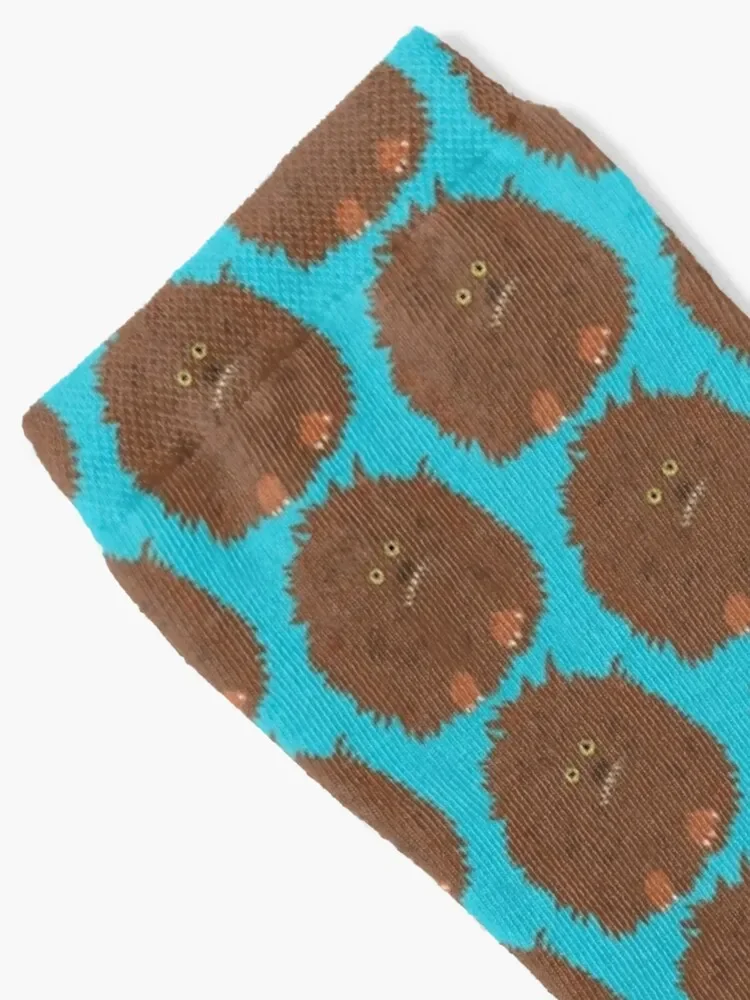 Носки Fizzgig много новинок женские носки мужские