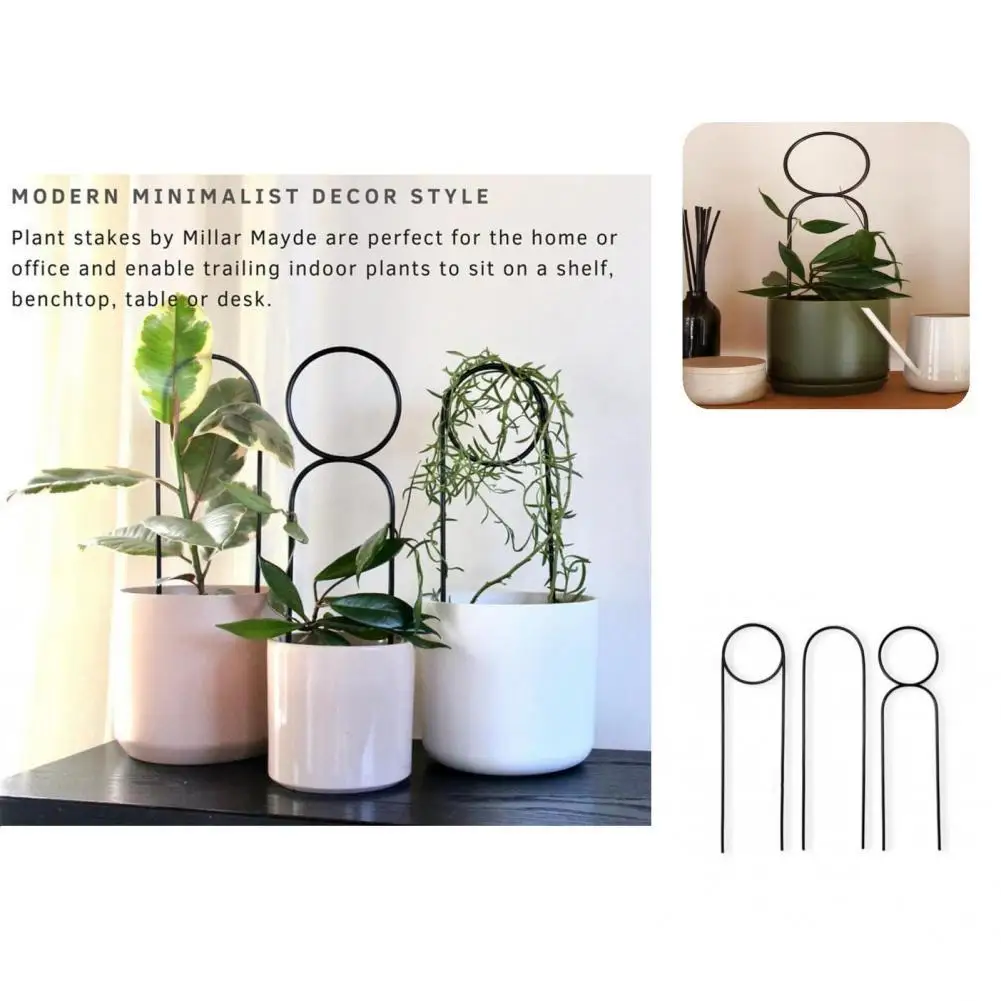 

Compact Detachable Round Edge Fine Texture Plant Climbing Stake for Gifts