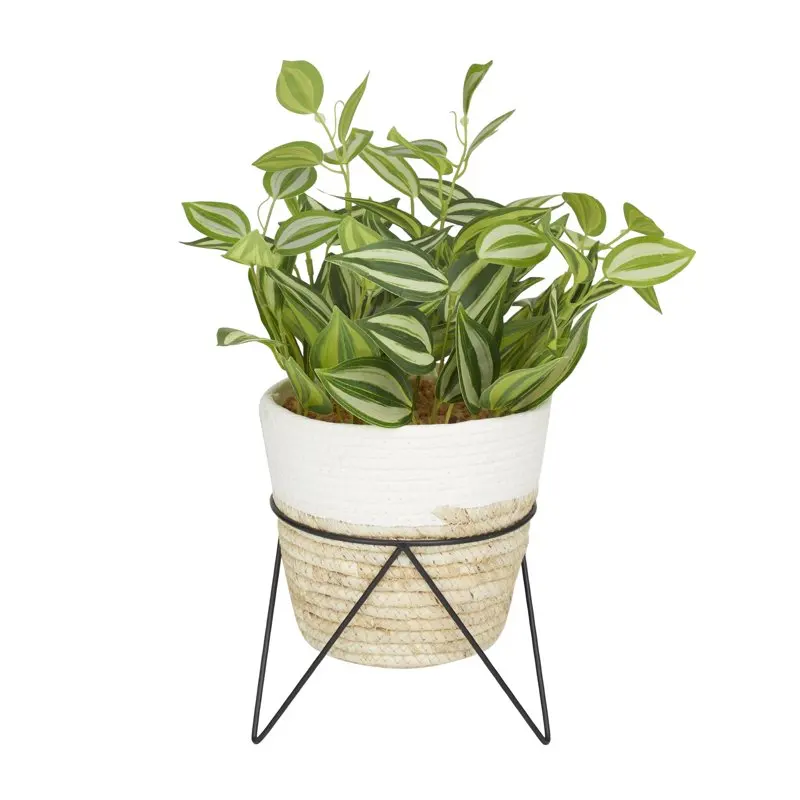 

Living World Beautifully Crafted Sanchezia Artificial Plant with Rattan Pot and Black Stand by Living World.