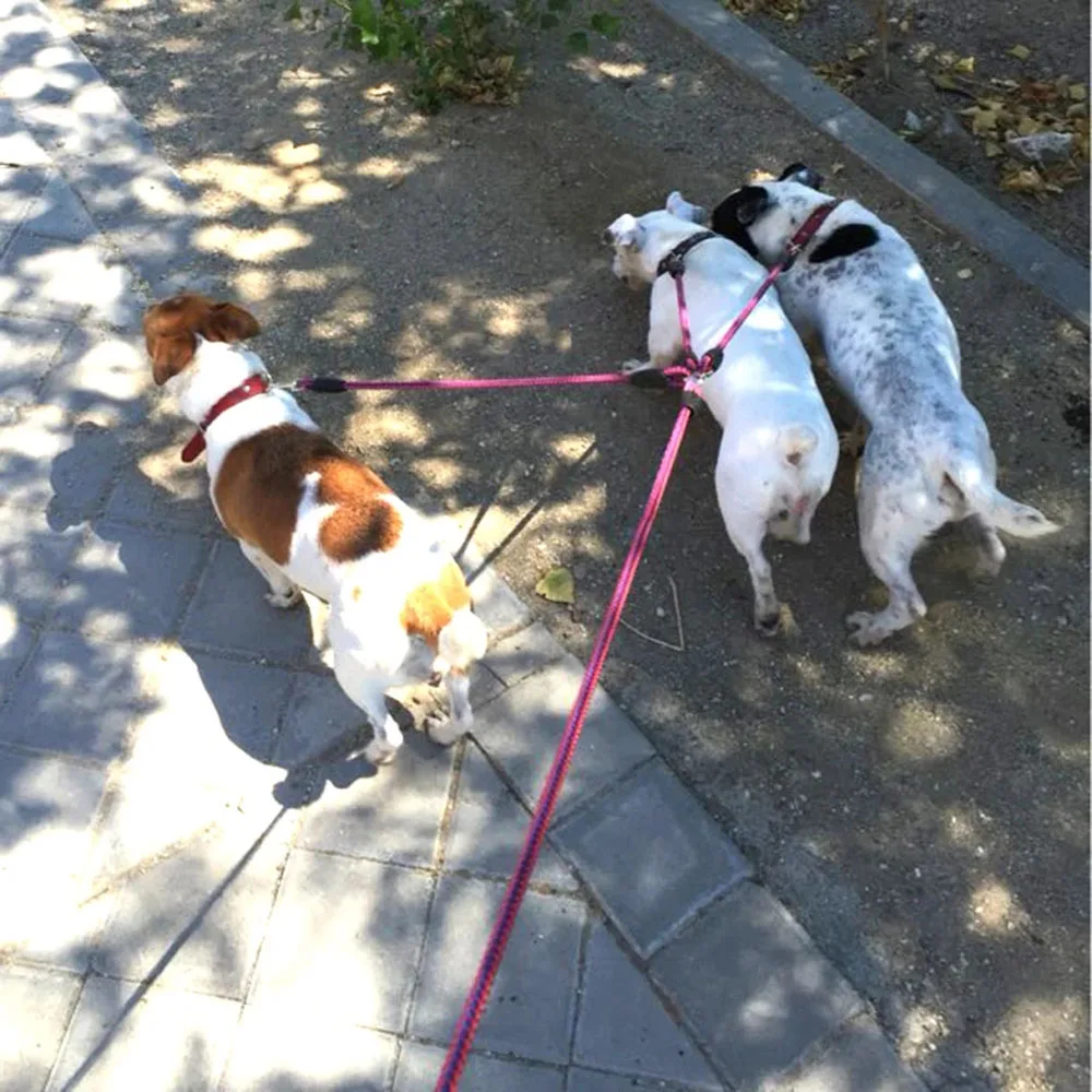 Тройной нейлоновый поводок для прогулок с 3-мя собаками |