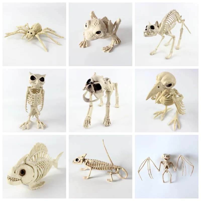 

Halloween Animal Skeletons Bendable Tails and Movable Jaws - Weatherproof Yard Decorations Perfect for Indoor/Outdoor Use