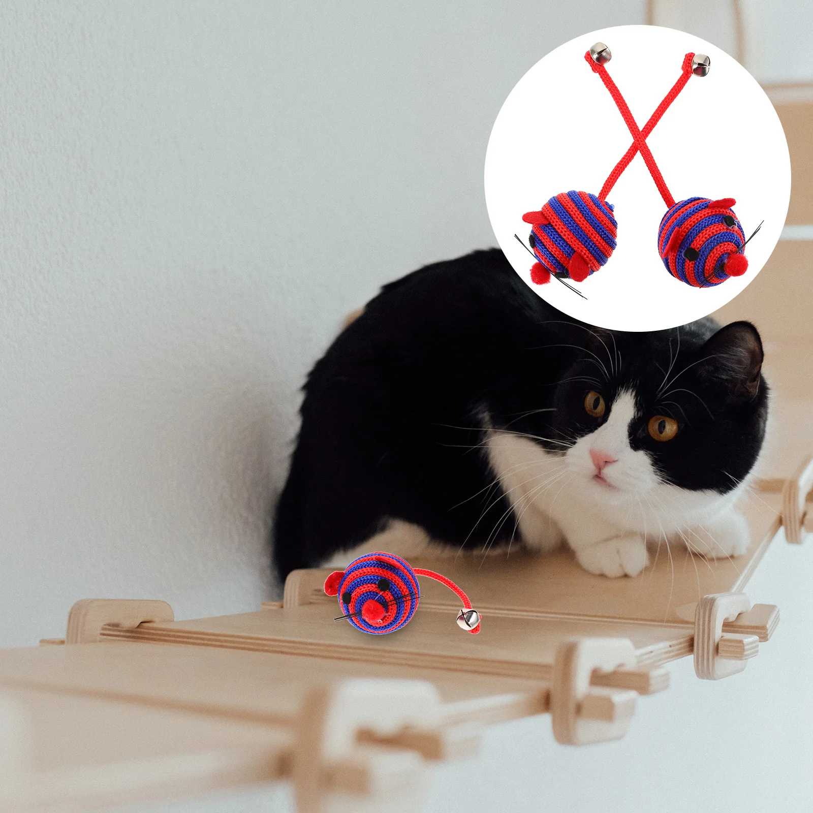 

4pcs Cat Chew Toy Cat Toys Cat Enrichment Toys Catnip Mice Toy Kitten Toys Catnip Toys Cat Mice Toys Cat Mouse Toys