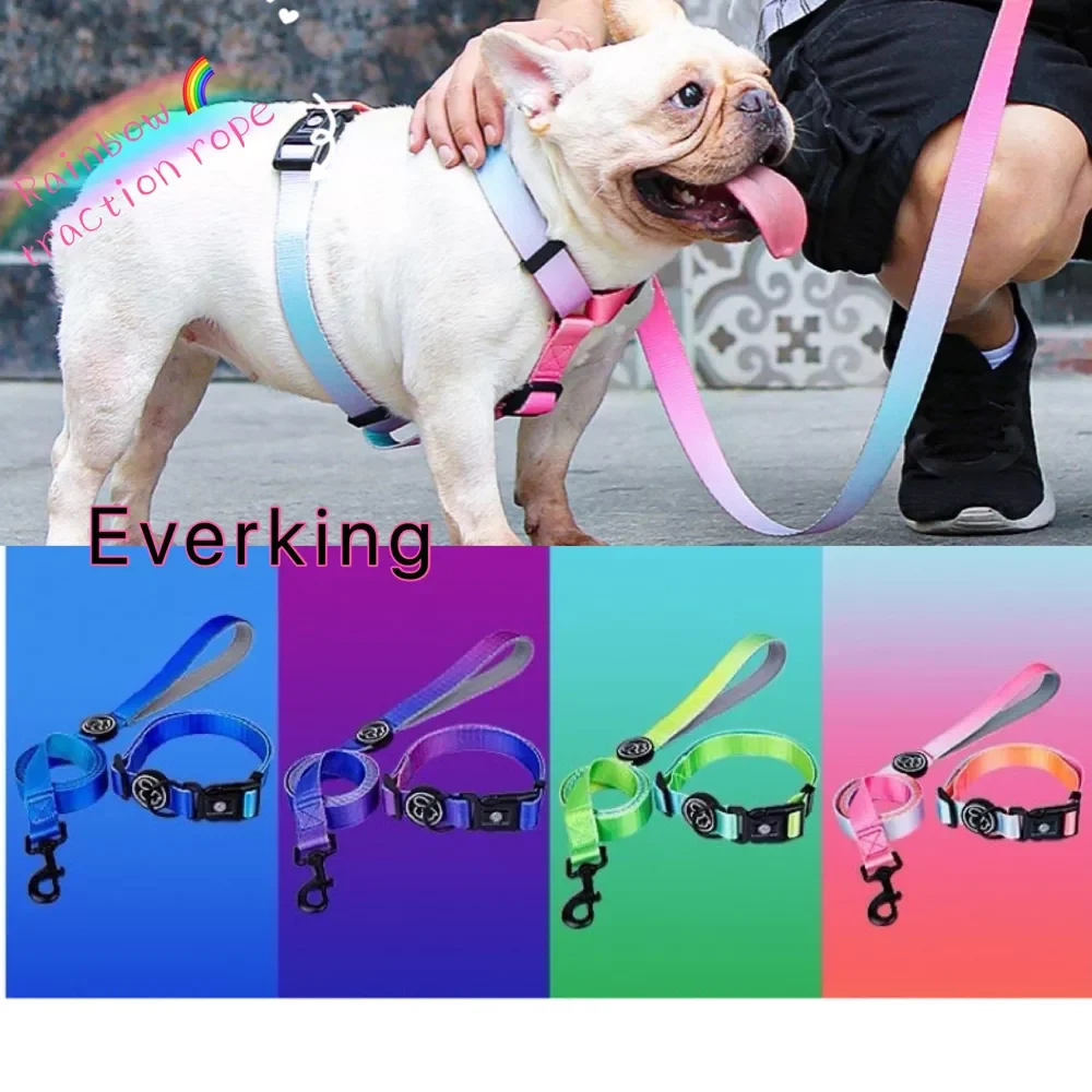 

2023NEW Leash Set Best-selling Fashion Personalized Gradient Color Dog Chain Collar Chest Strap Leash Set Pet Dog Accessories