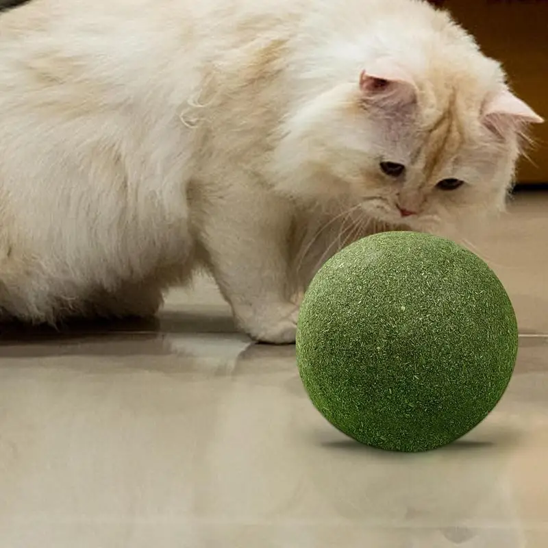 

Super Large Catnip Ball 10cm Cat Grass Self-Hi Relieving Stuffy Insect Gall Fruit Giant Pet Bite Molar Wholesale Pet Cat Toy