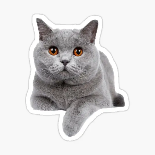 

Наклейка на автомобиль с изображением кота, 17 см, q6