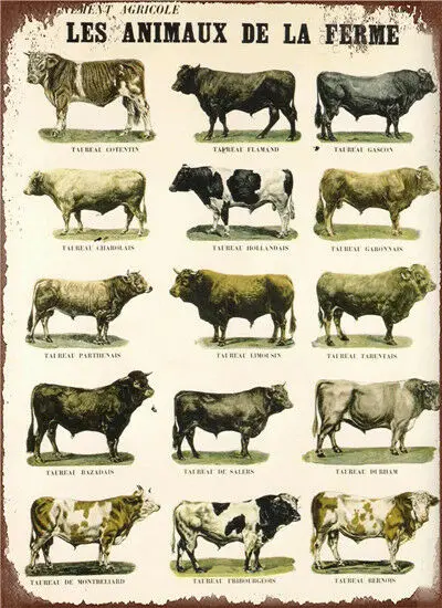 

Metal Tin Sign les animaux de la ferme Decor Bar Pub Home Vintage Retro