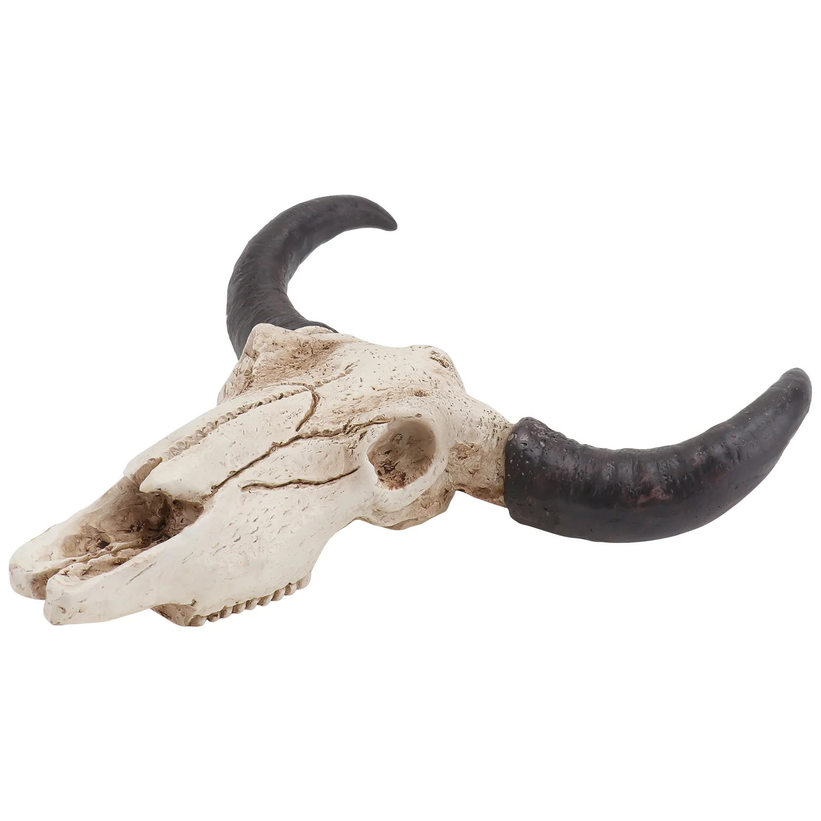 

Cow Long Horn Hanging Bones Animal Halloween Gifts Crafts Wall Decorations Cap