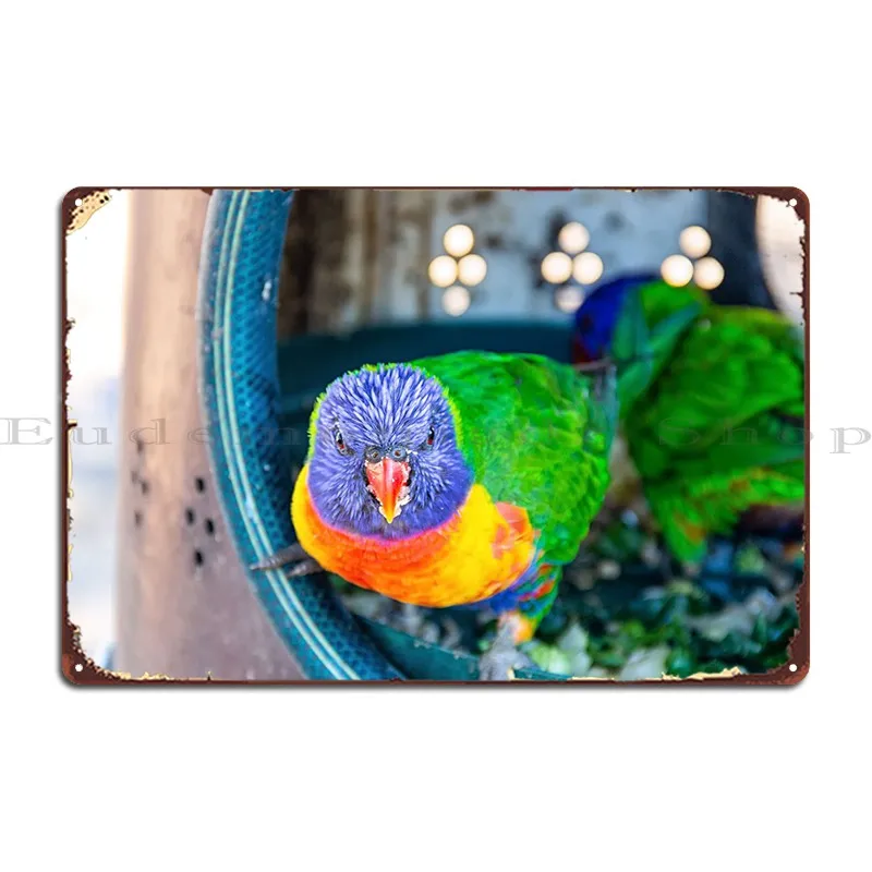 

Bird Metal Plaque Cinema Character Club Garage Club Bar Tin Sign Poster