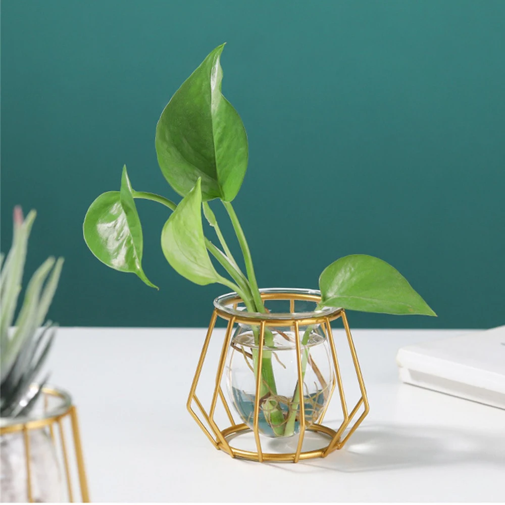 Невыцветающая гидропонная ваза для растений износостойкая стеклянная гладкая и