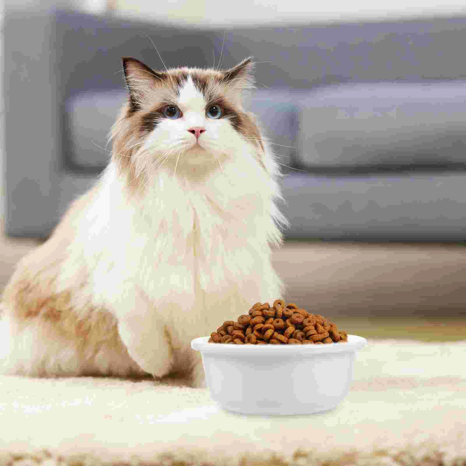 

Ceramic Cat Food And Water Bowl Reusable Pet Dog Food Feeding Bowl Food Container