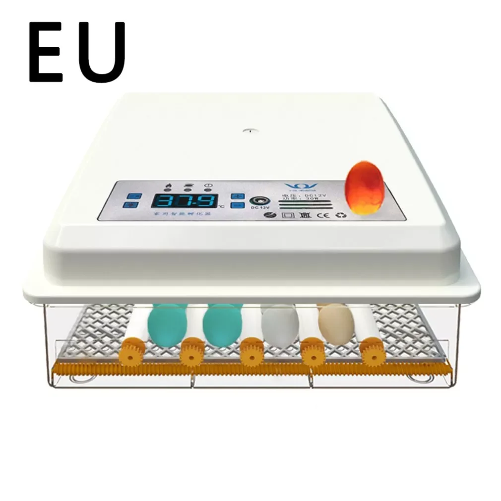

Small Household 16 Eggs Incubator For Peacock Duck Goose Egg Quail Chicken 220V Incubator