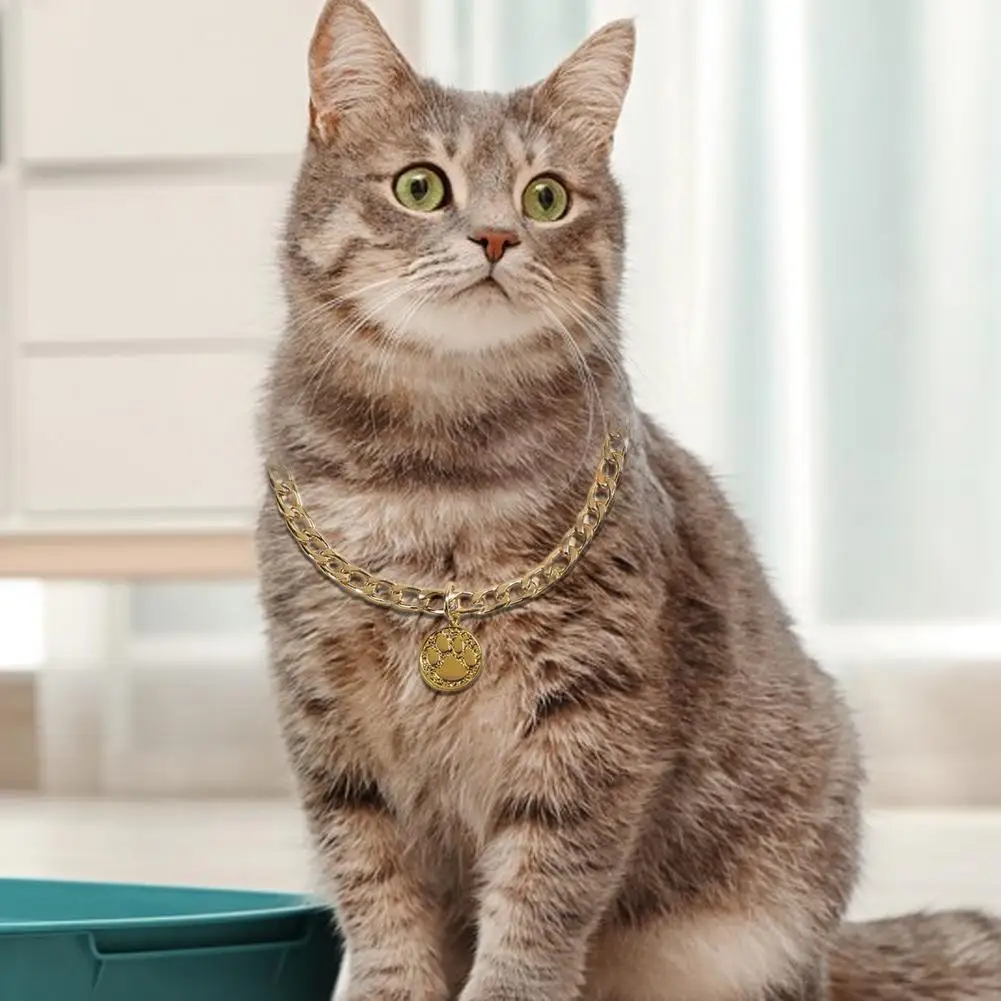 

Ошейник для домашних питомцев, ювелирное изделие длительного срока службы, для кошек и собак, с зажимами, товары для домашних животных