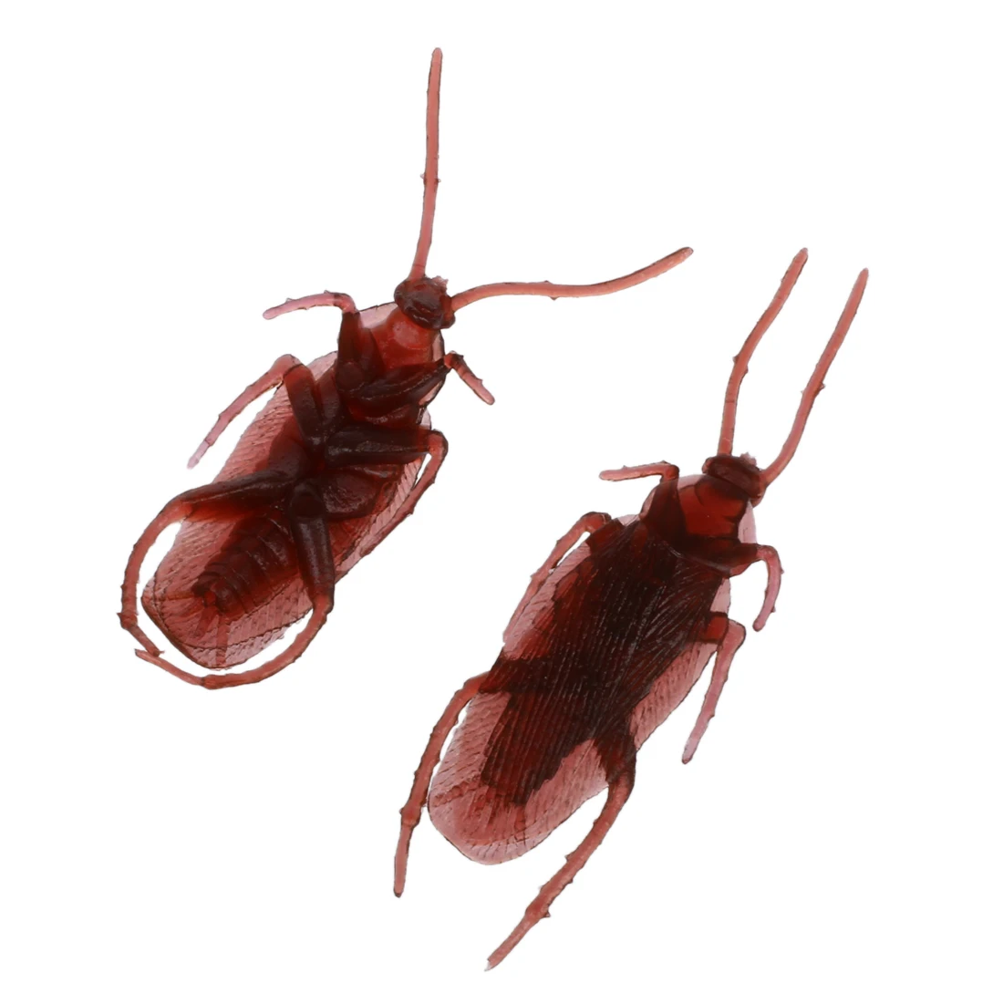 

10 поддельных газированных пятен, тараканов, Жуков выглядят реально