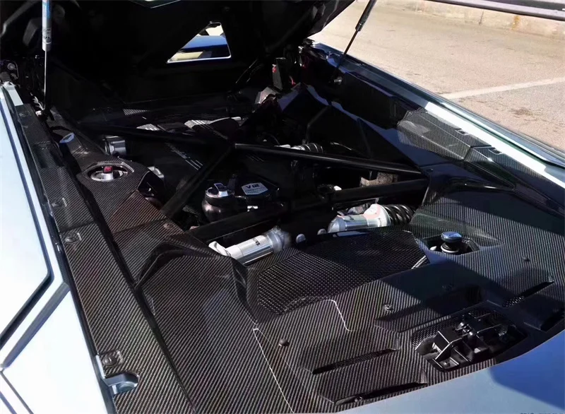 Комплект панелей для двигателя из сухого углеродного волокна Bester Preis verkleidungen Lambor