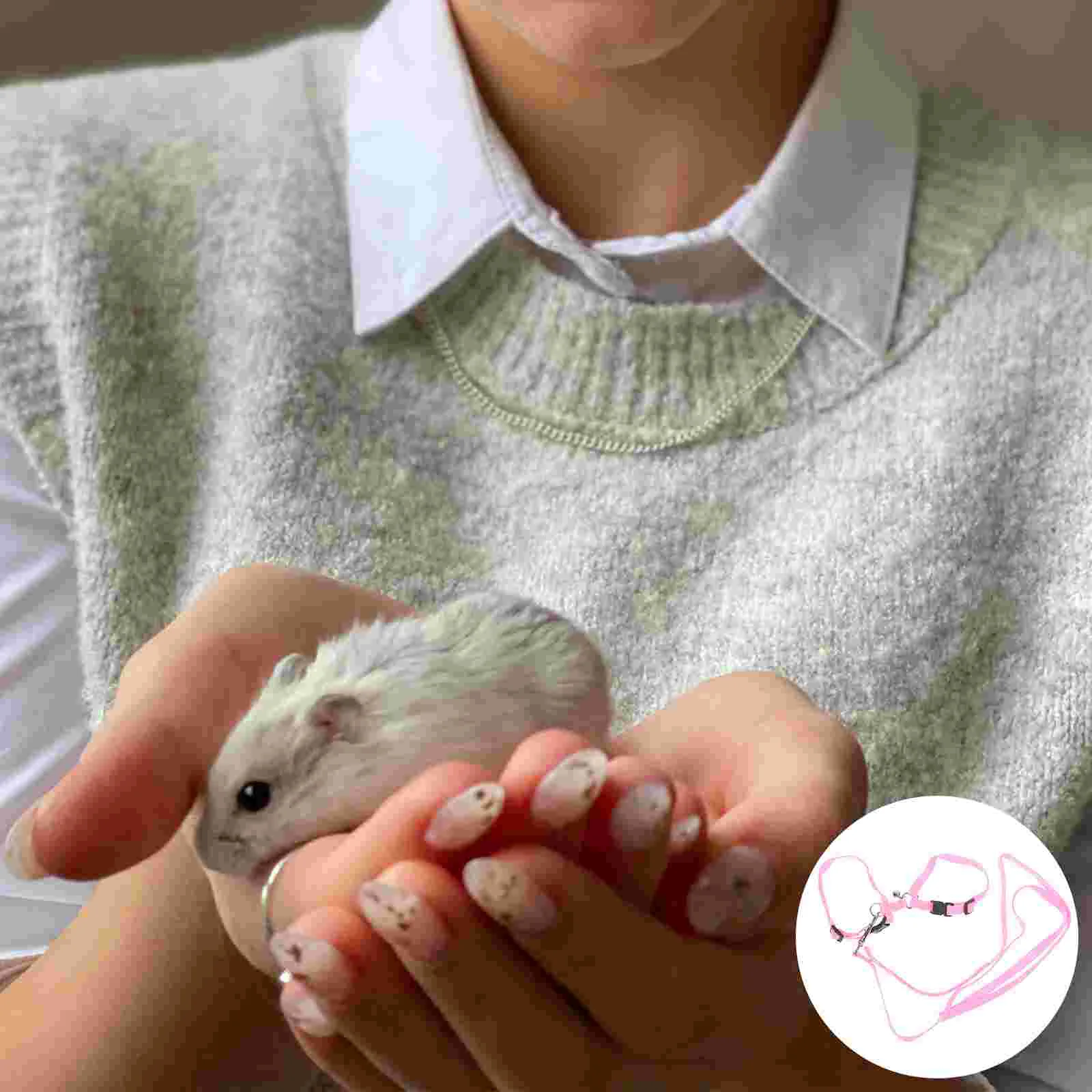 

Leash Pet Harness Walking Rabbit Bunny Rope Guinea Squirrel Rat Vest Nylon Jogging Reflective Wrist Chinchilla Ferret Baby
