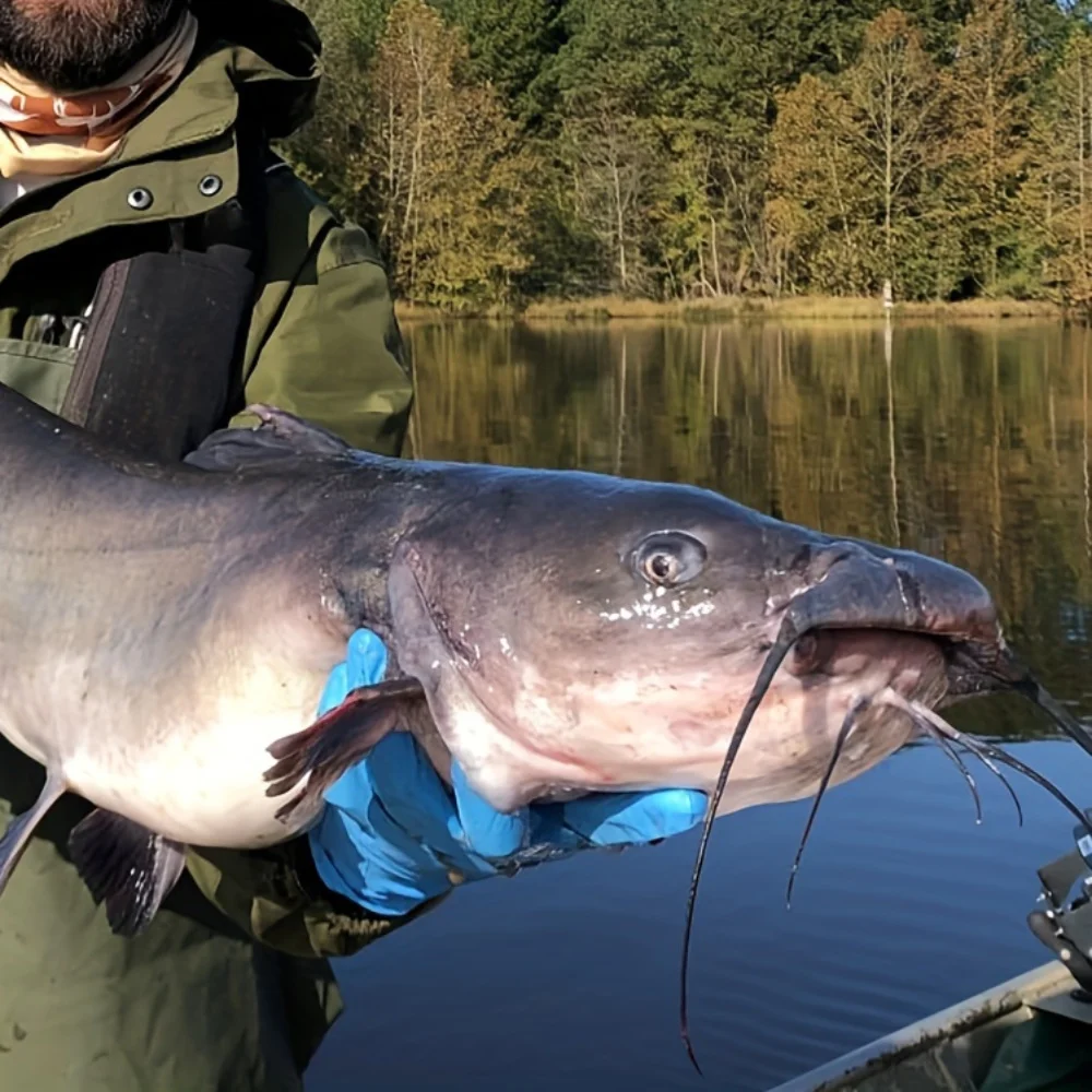 Круглые крючки Ackibbik для морской воды 180 шт. ловли сома рыболовные со смещением