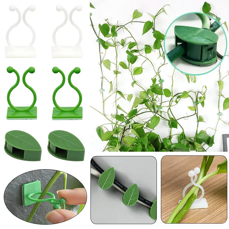 

Plant Climbing Wall Fixture Clips Rattan Vine Fixer Self-Adhesive Hook Invisible Garden Binding Clip Wall StickyClip