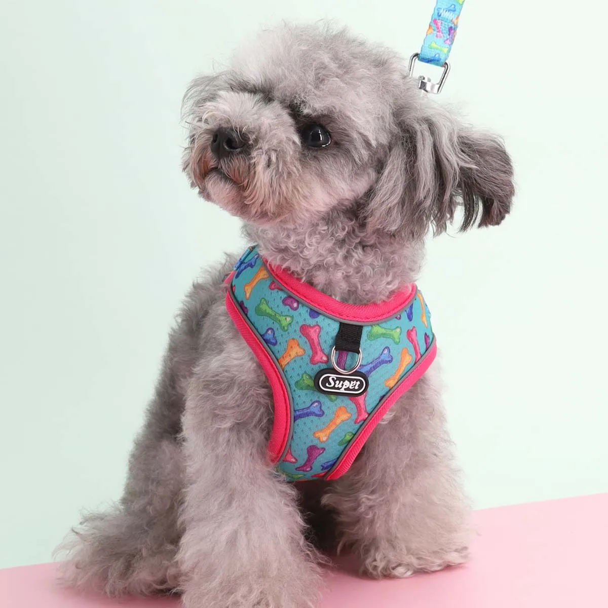 Шлейка и поводок для одной собаки