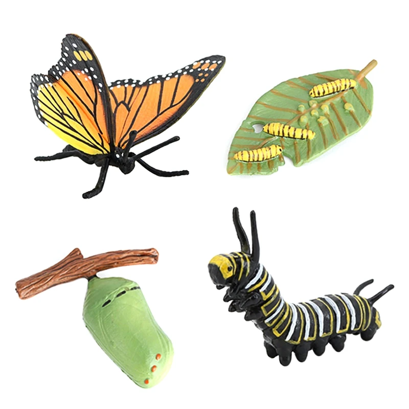 

4Pcs/Set Butterfly Growth Cycle,Insect Growth Cycle Model Hand Painting Animal Figures,Educational Toy