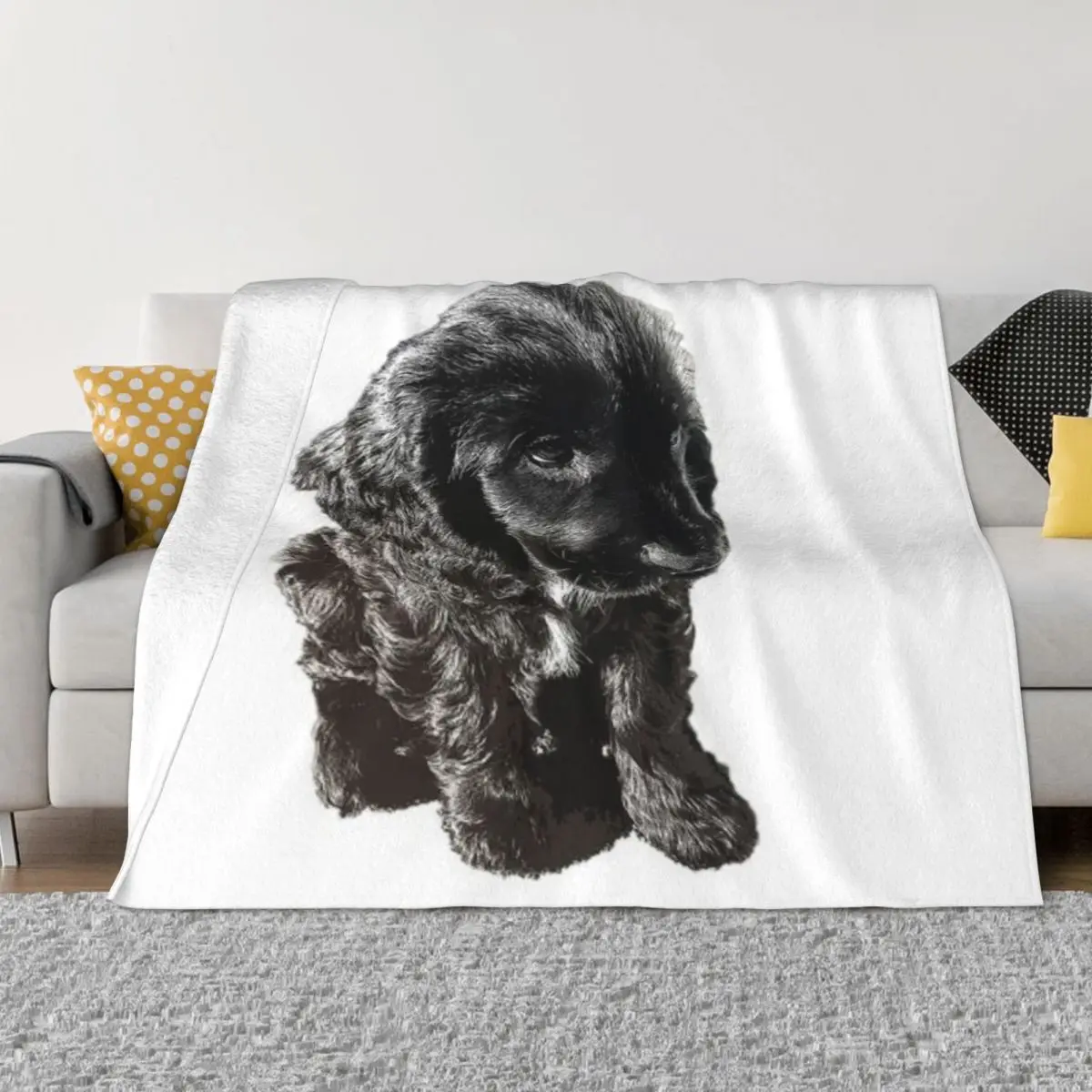 Английский кокер-спаниель черный щенок — очаровательный! Ультрамягкое одеяло из