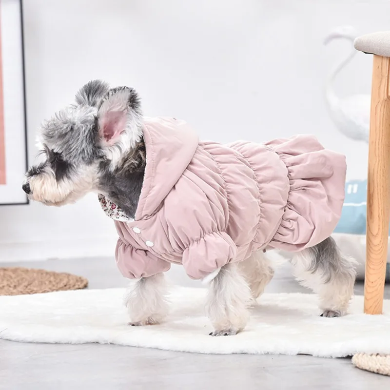 Are Dog Clothes Bad For Dogs