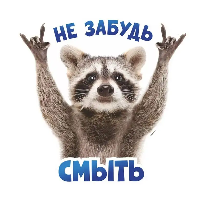 

Наклейка на стену с енотом "Не забудь смыть" M807