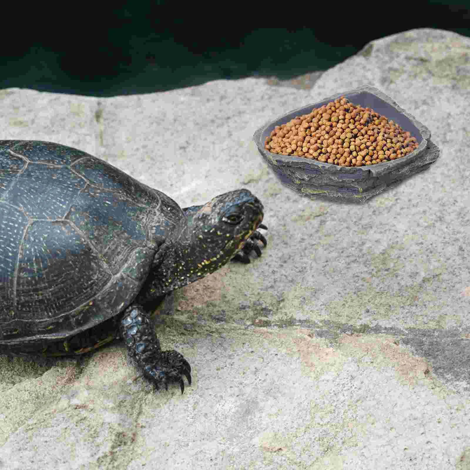 

1Pc Reptile Feeding Bowl Durable Resin Feeding Plate Shape Food Water Feeding Dish for Lizard Gecko Tortoise (Dark Grey)