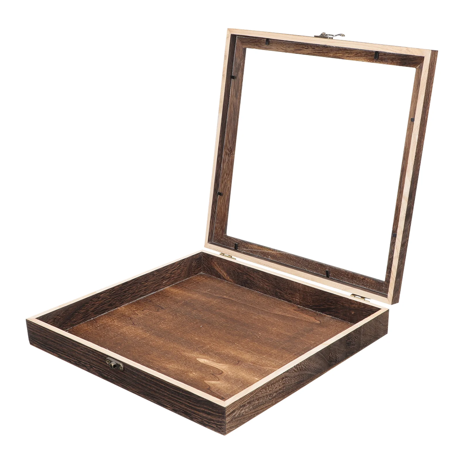 

Display Box Frame Specimen Case Insect Pictureglass Shadow Collection Wood Dried Showcase Holderboard Containerentomology