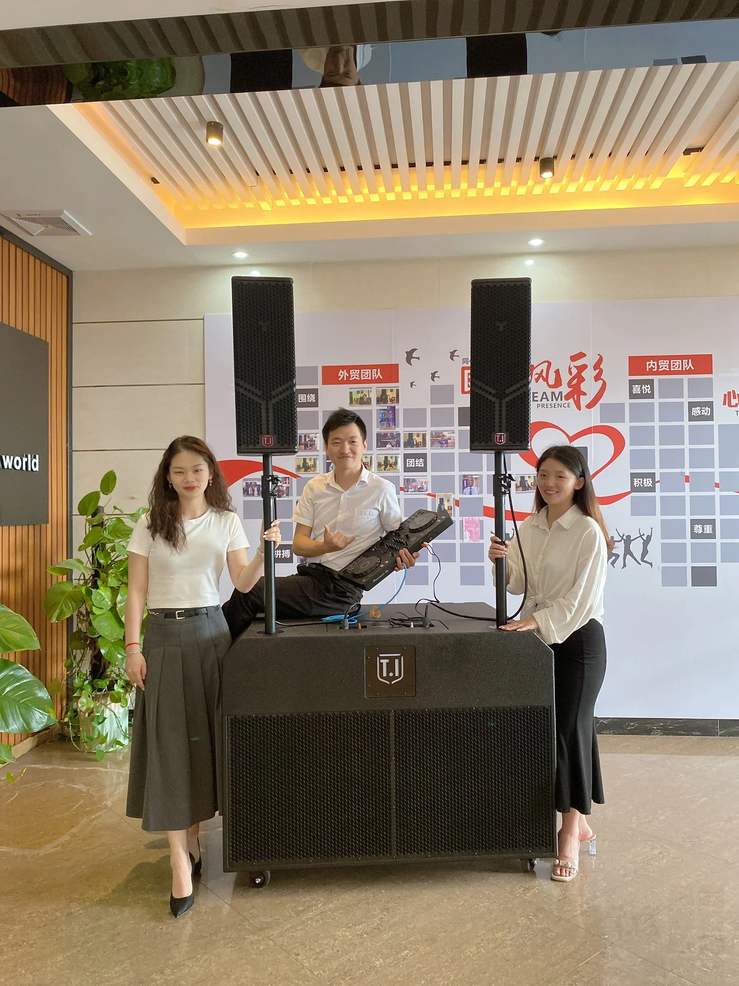 Профессиональный новый продукт набор мобильных звуковых систем Dj двойной