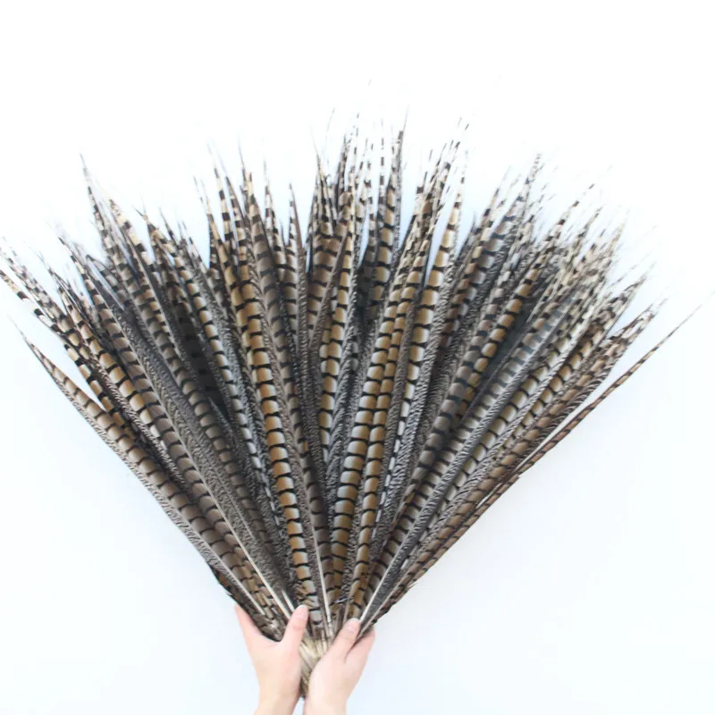 

10pcs/lot Natural Pheasant Tail Feathers for Crafts 65-70cm 26-28inch Dancers for DIY Decoration Plumas De Faisan