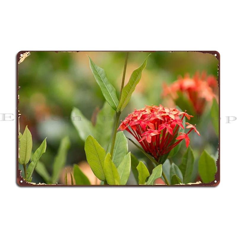 

Металлические знаки Rio, забавная картина клуба, персонализированный классический жестяной плакат