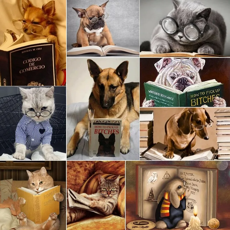 

5D Diamond Painting Kit Rabbit Dog Cat Reading Book Full Drill Paint with Diamonds Rhinestone Embroidery Cross Stitch Decor