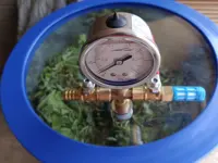 Белый чай GABA от бренда Nie Qun Hao (да, от Цюнь Не, он же "Чайный Олег")#5