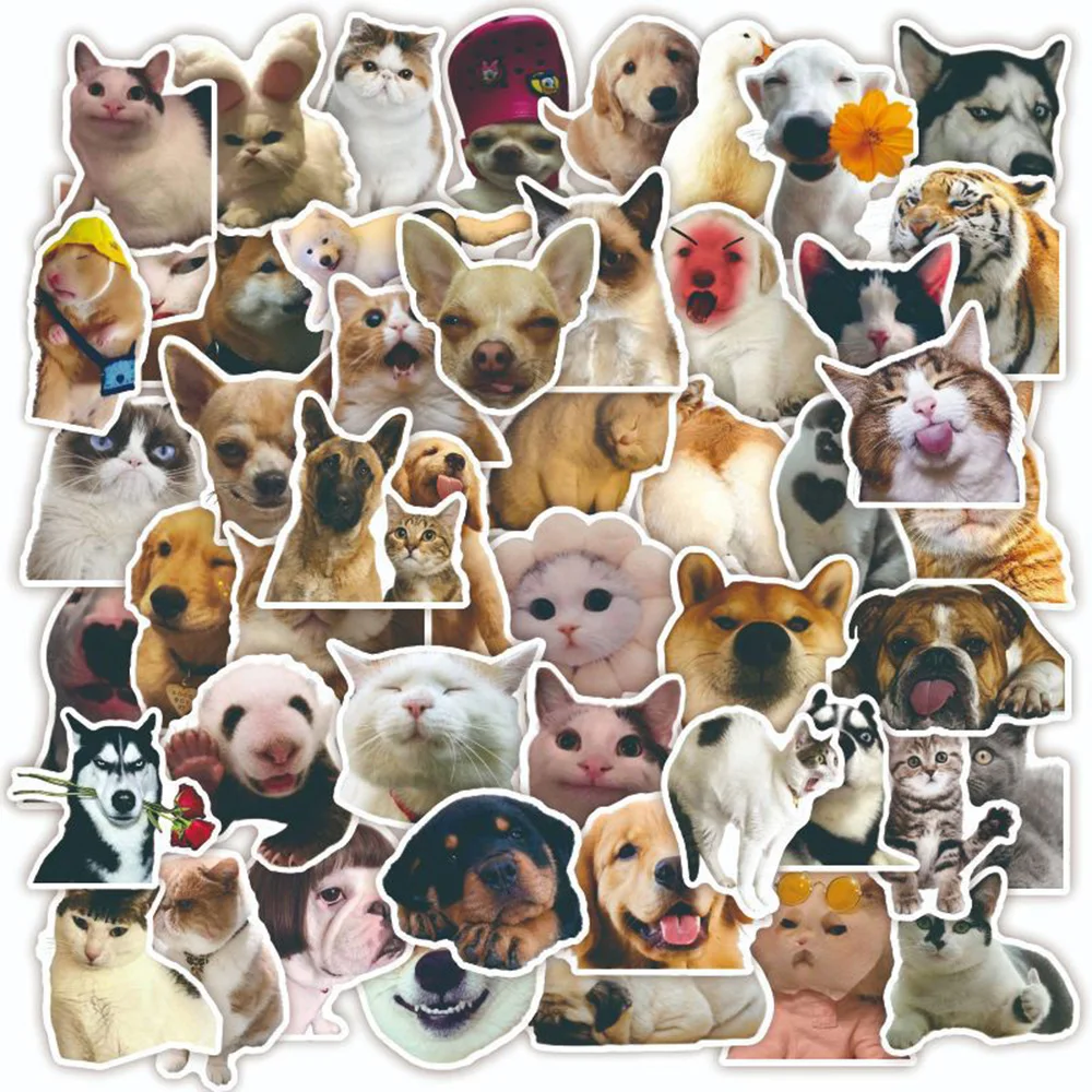 10/30/50pcs Funny Cute Animal Cat Dog Meme Stickers Decal Skateboard Laptop Phone Car Motorcycle Waterproof Joke Sticker Kid Toy - купить по