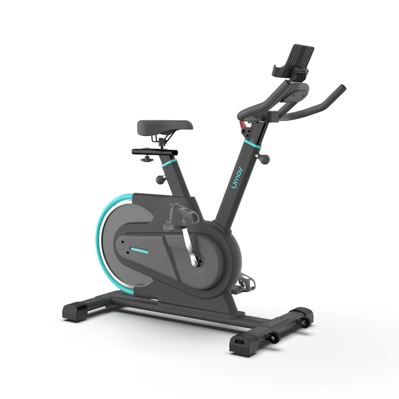 

Umay 6.5kg Flywheel Indoor Exercise Cycle Machine Magnetic Spin Bike