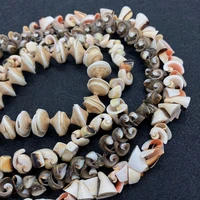 natural freshwater conch beads shell charm beads 11 14mm size about 30 52g suitable for diy making necklace bracelet accessories