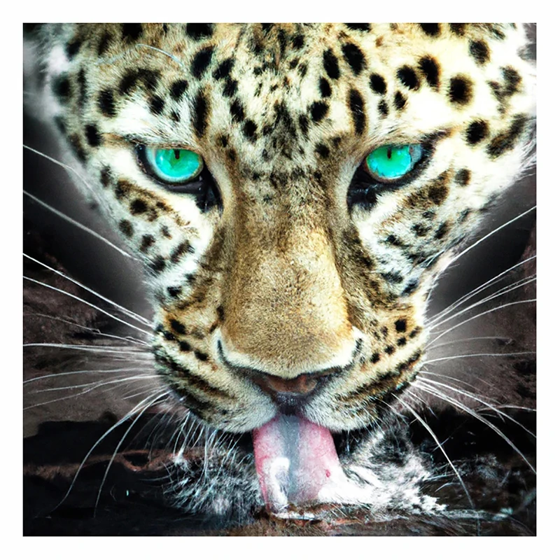 Фотография детской питьевой воды с леопардовым рисунком