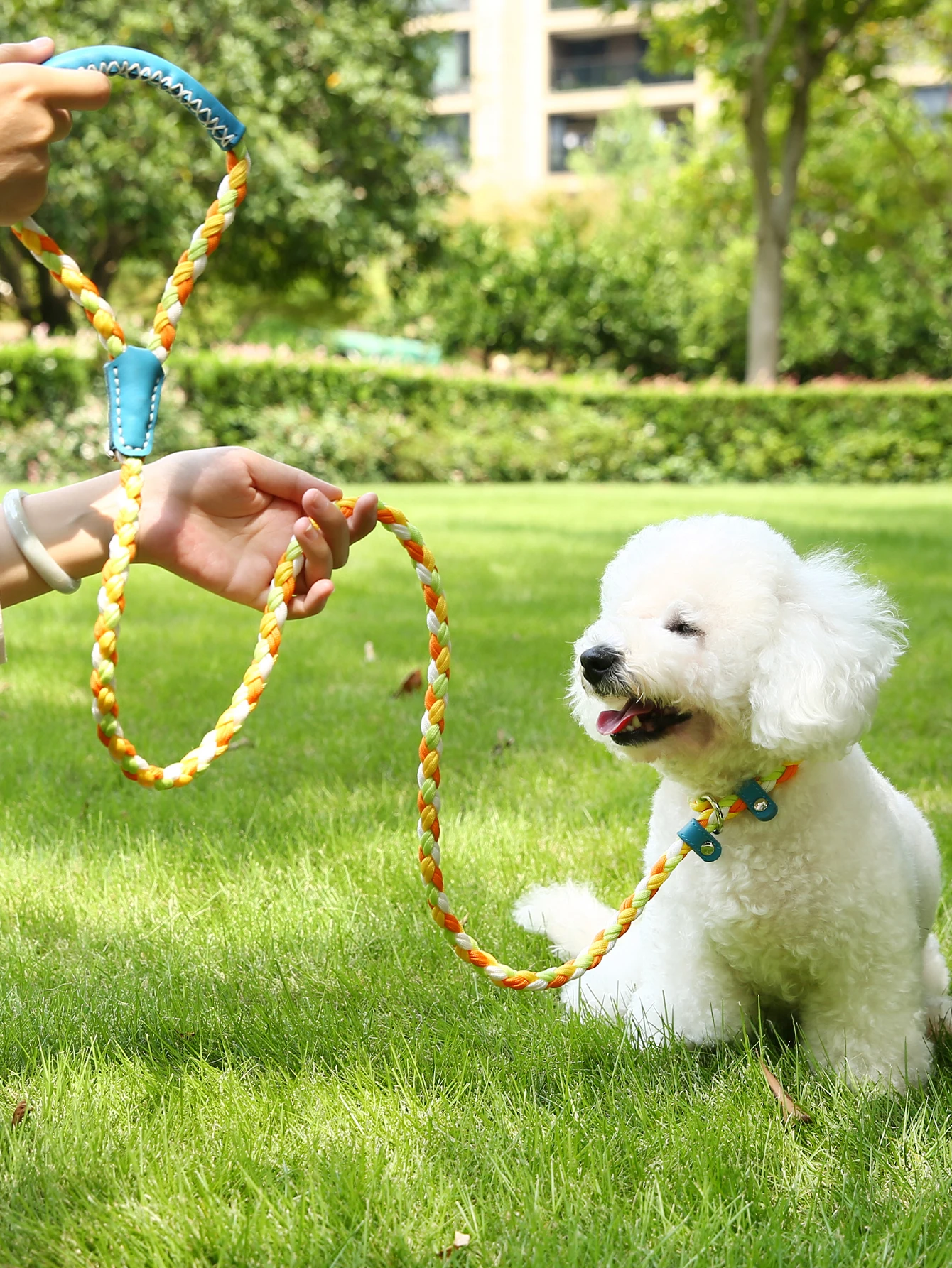 Поводок для собак UFBemo со свободными руками металлический ремень кольцо